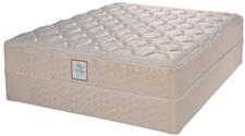 Stanwyck Plush Queen Mattress and Box Spring Set