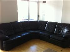 Natuzzi Leather Sectional Couch
