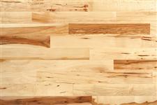 Hardwood Flooring- Natural Maple